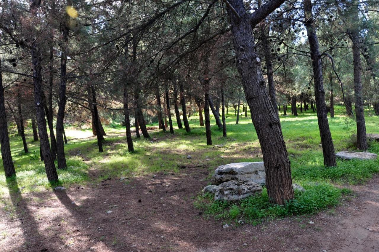 ארכנס Aletraki -Off-Grid Retreat Above Heraklion, Peaceful Views מראה חיצוני תמונה