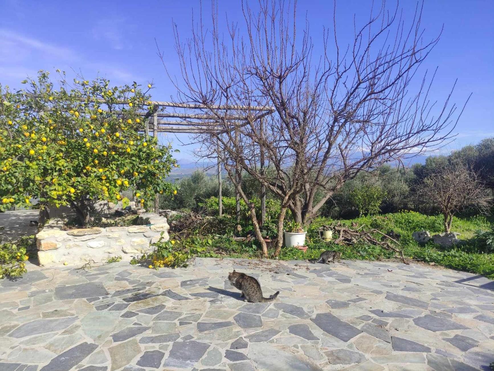 ארכנס Aletraki -Off-Grid Retreat Above Heraklion, Peaceful Views מראה חיצוני תמונה